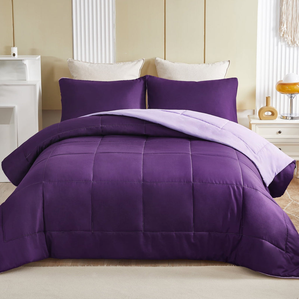 Hypoallergenic Cloud Lightweight Reversible 3-Piece Comforter Set All Seasons, Down Alternative Comforter with 2 Pillow Shams, Queen Size,... - Hypoallergenic Ultra-Fluffy Quilt for Winter Detail