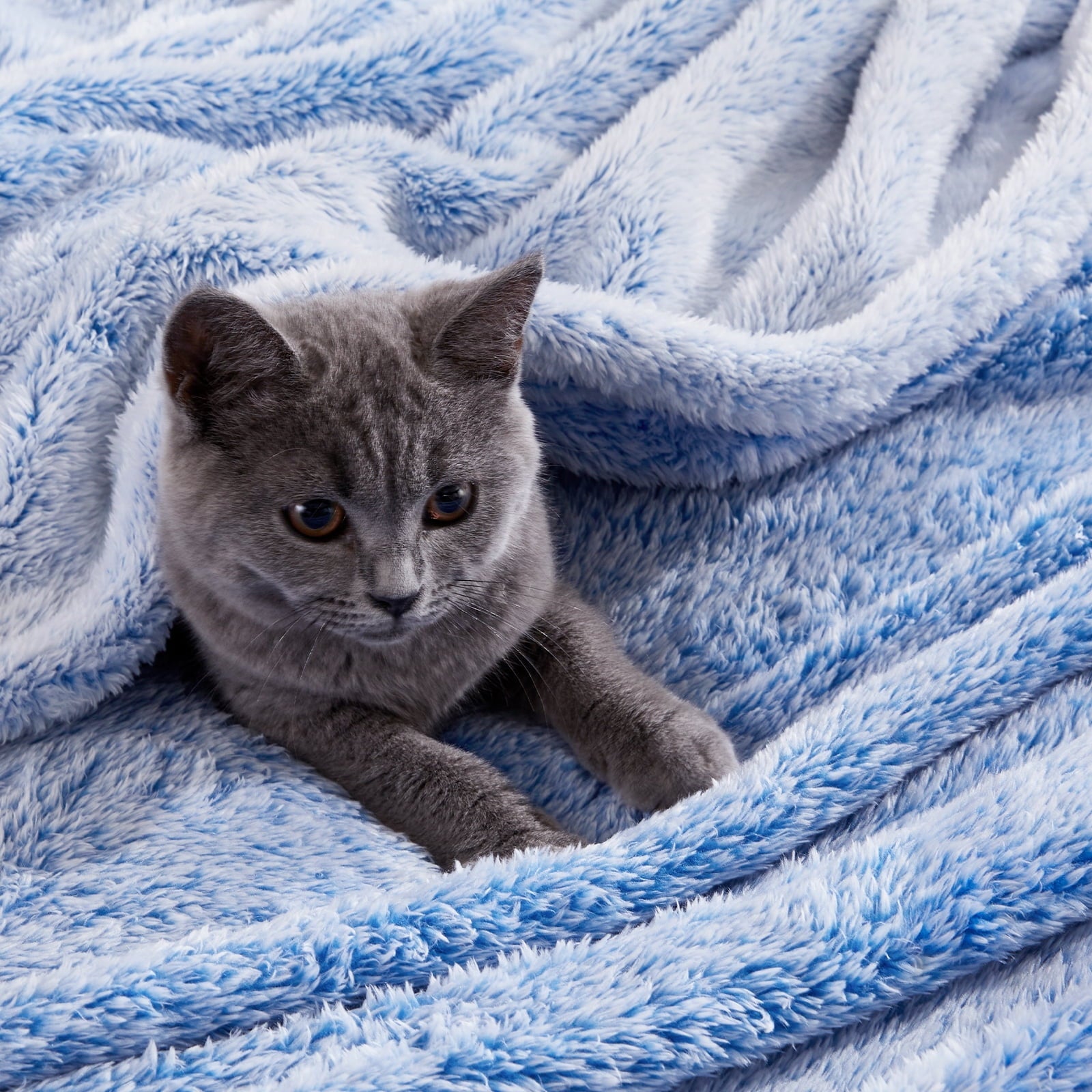 Reversible Sherpa Plush Fuzzy Large Fleece Throw Blanket (50" x 70", Mixed Cobalt Blue)- Soft, Warm and Lightweight - Super Soft Reversible Sherpa Flannel Blanket Detail
